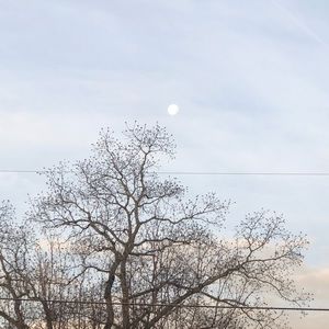 Meet your Posher, Jessika